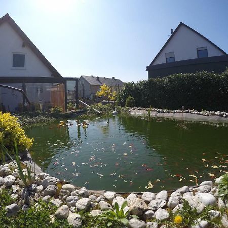 Moselie Ferienwohnung Kinheim Mosel מראה חיצוני תמונה