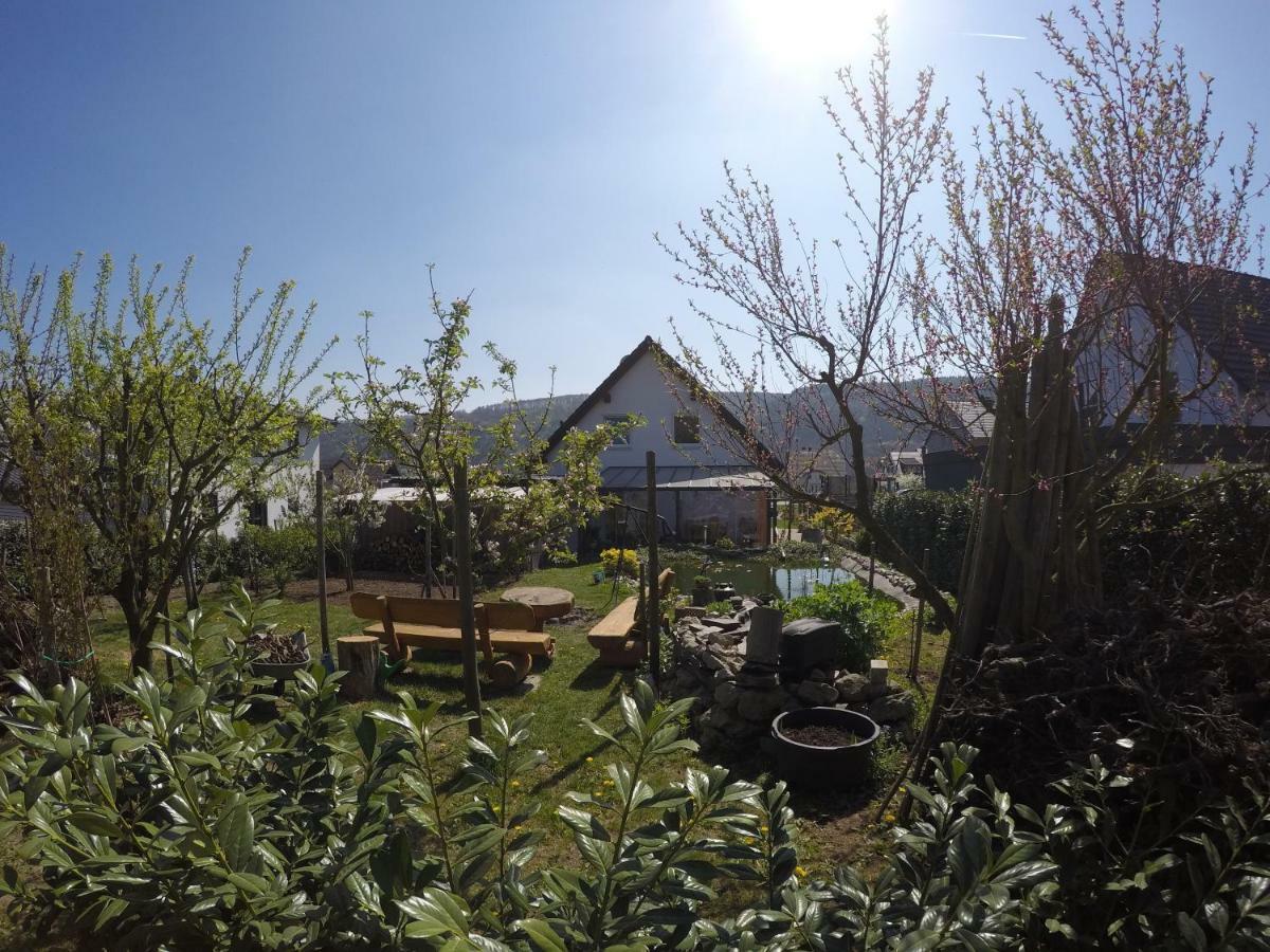 Moselie Ferienwohnung Kinheim Mosel מראה חיצוני תמונה